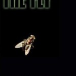 the fly